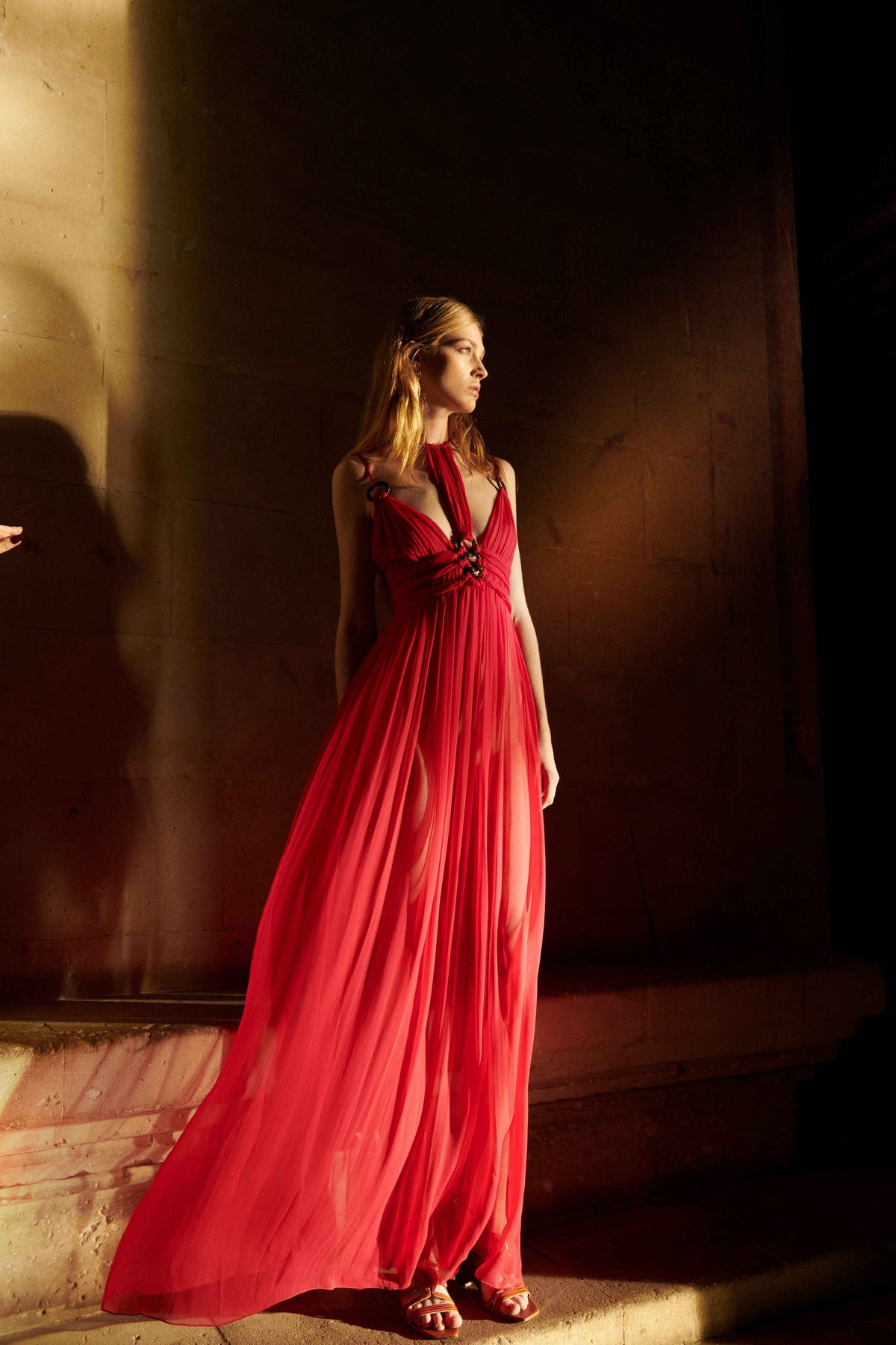 Long organic Chiffon dress - Alberta Ferretti
