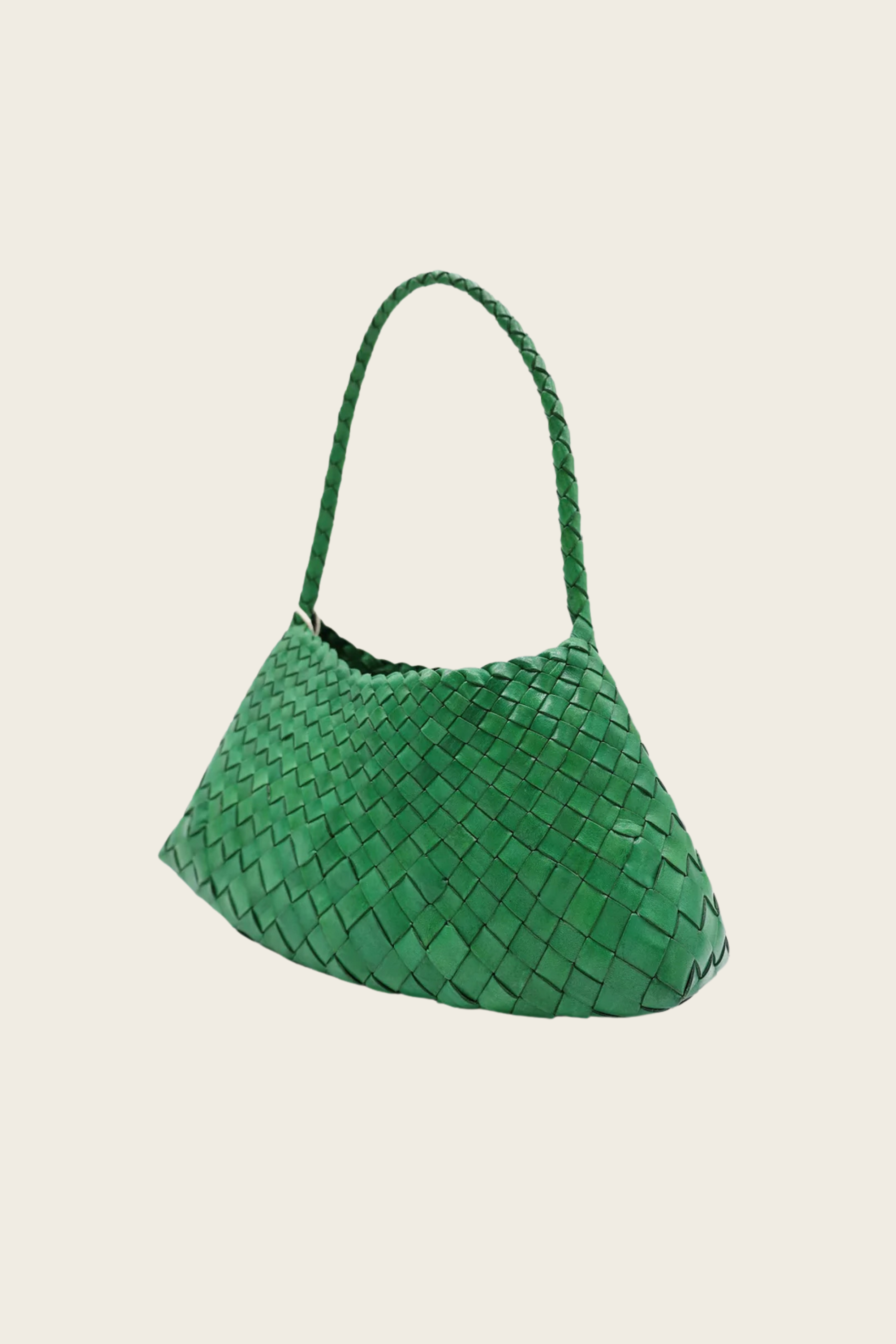 Rosanna Parrot Green - Dragon Diffusion