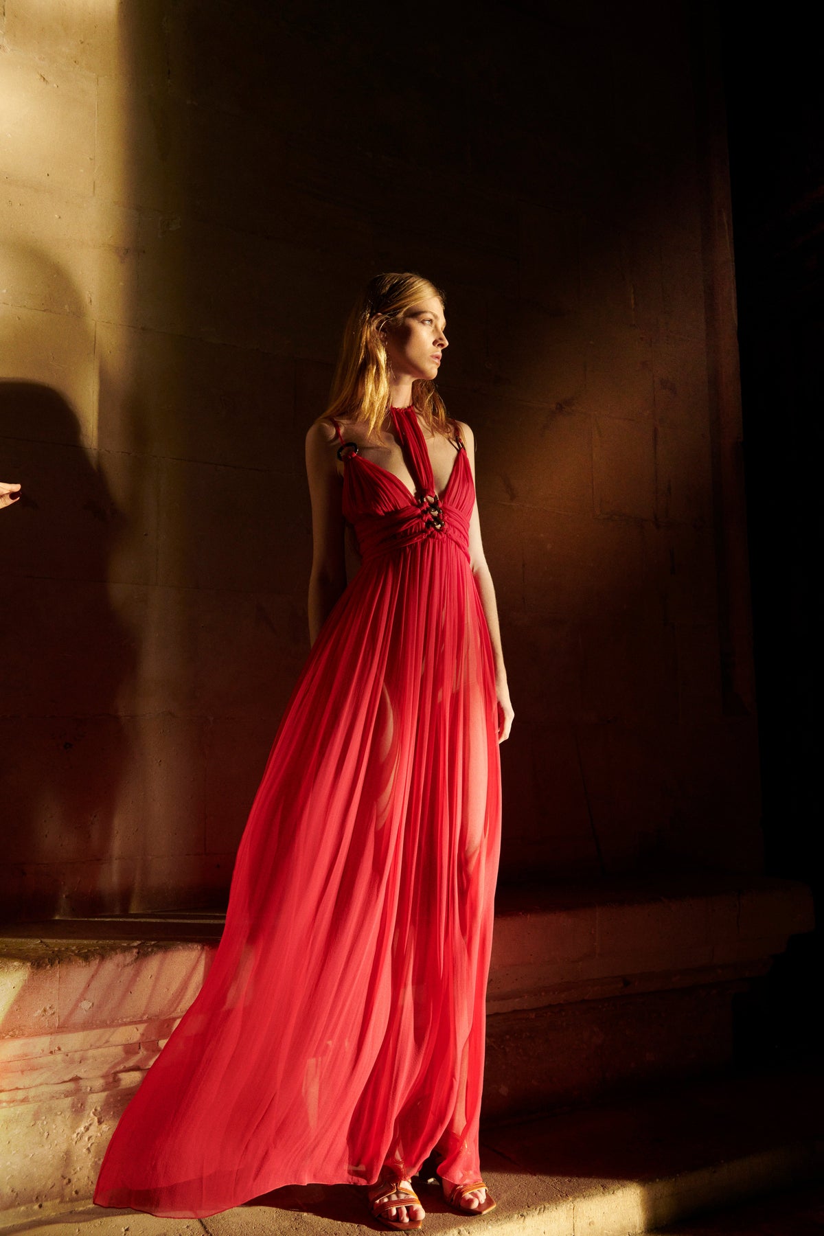 Long organic Chiffon dress - Alberta Ferretti